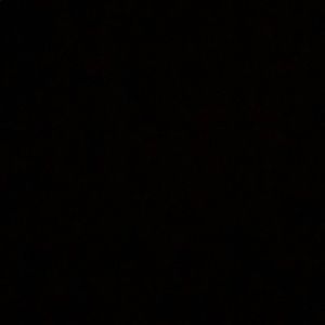 Meet your Posher, Jaelani